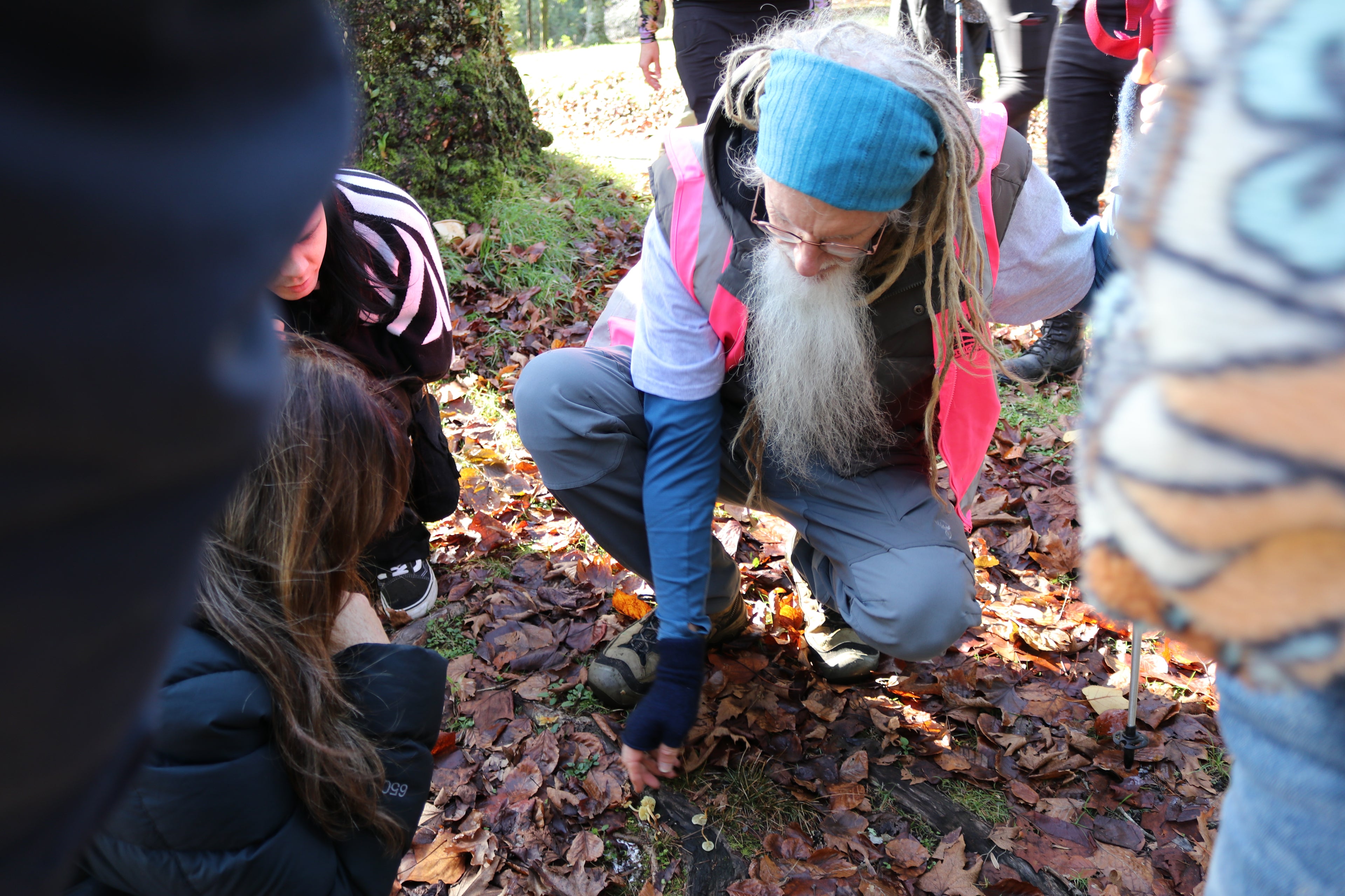 Guided Fungi Foray