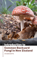 Introduction to Common Backyard  Fungi in New Zealand