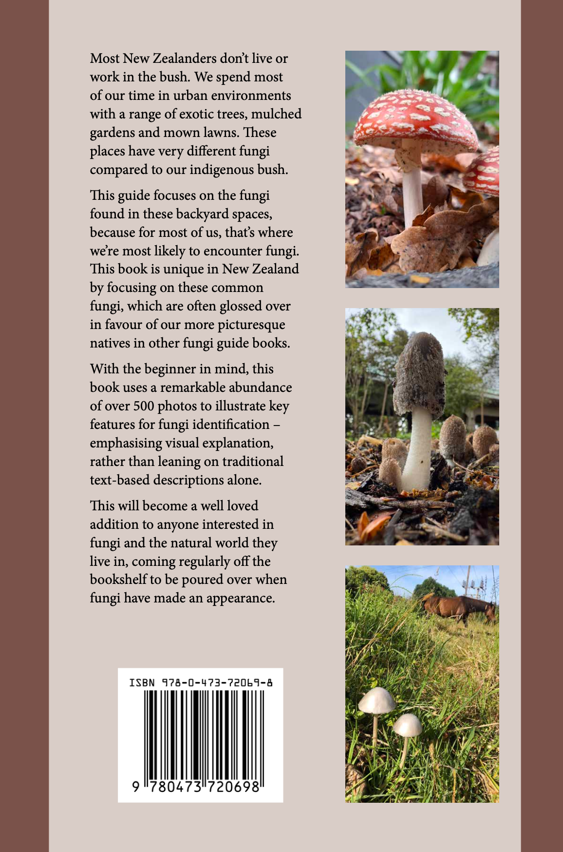 Introduction to Common Backyard  Fungi in New Zealand