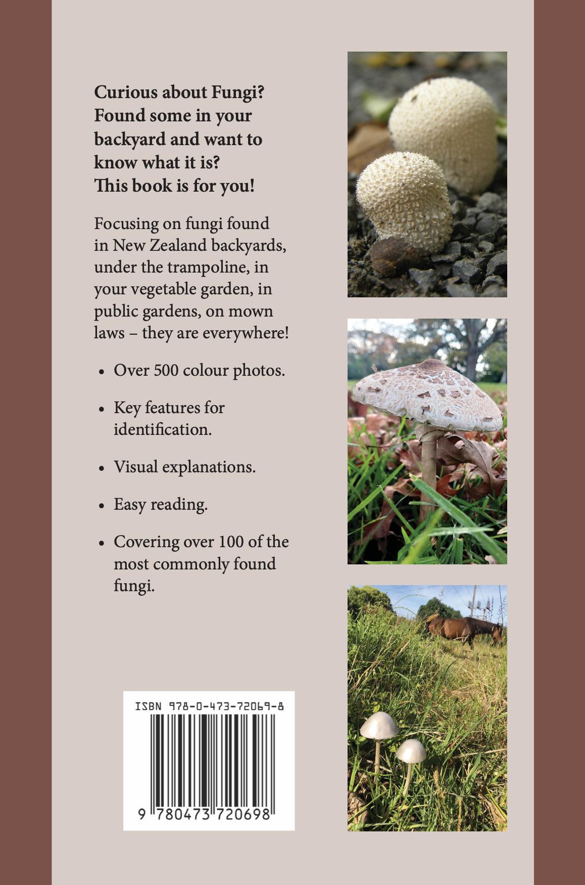 Introduction to Common Backyard  Fungi in New Zealand