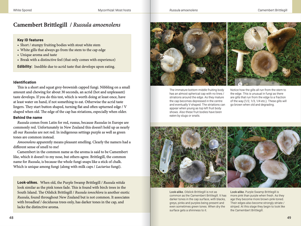 Introduction to Common Backyard  Fungi in New Zealand